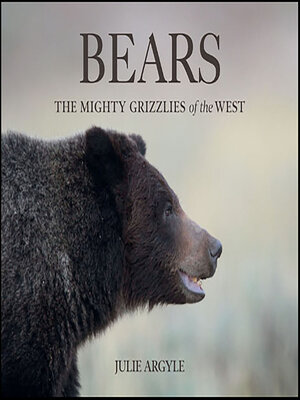 cover image of Bears